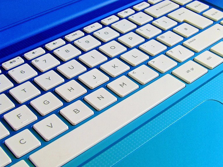 blue directory for w61n1g