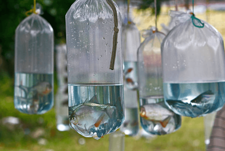 Durable Fish Bags Designed for Easy Transport and Cleaning